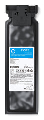Epson F1060 Consumables