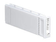 Epson F2000/F2160 maintenance - cleaning cartridge